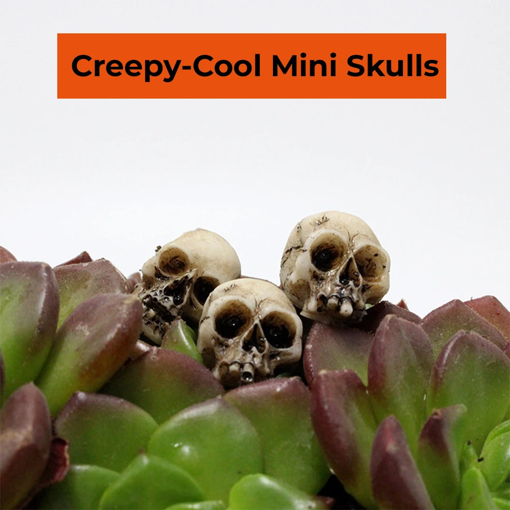 Mini Skulls Set (20pcs)