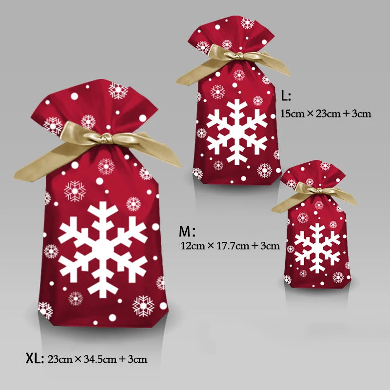 Snowflake Surprise Gift Pouch