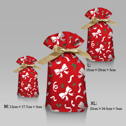 Snowflake Surprise Gift Pouch