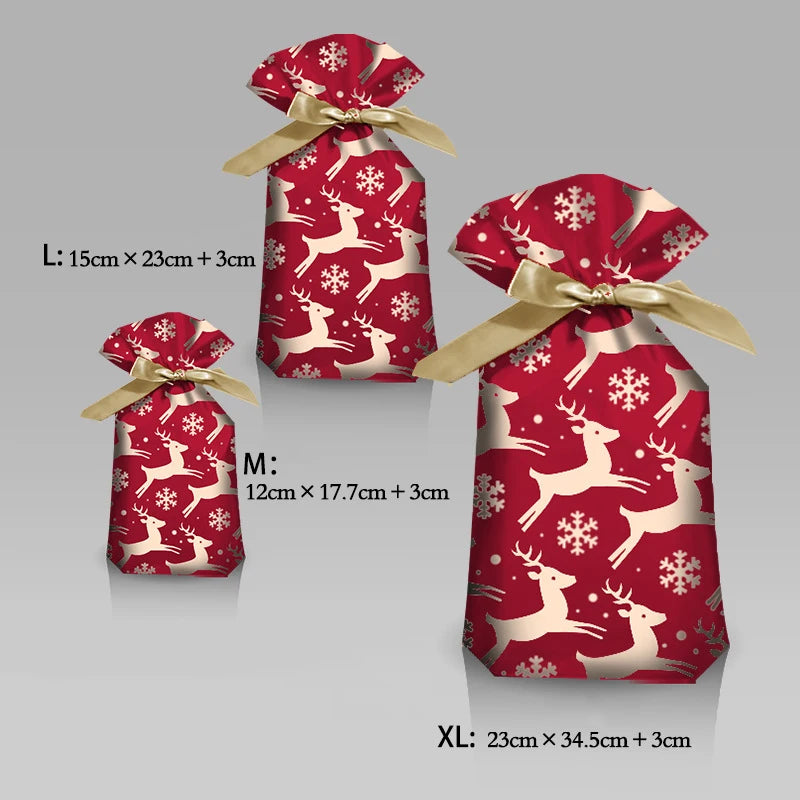 Snowflake Surprise Gift Pouch